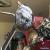 2006 Harley-Davidson Softail for Sale