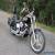 1994 Harley-Davidson Softail for Sale