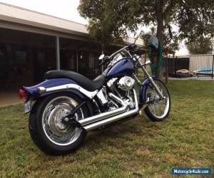 Motorcycle Blue 2007 Softail Harley Davidson for Sale