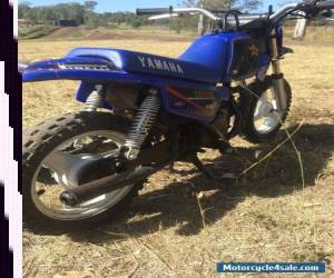 Motorcycle Yamaha peewee 50 for Sale