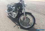 2005 Harley-Davidson Sportster for Sale