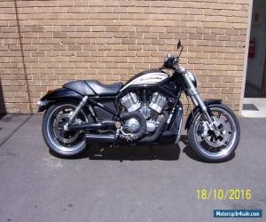 Motorcycle HARLEY DAVIDSON VRSCR STREET ROD VROD for Sale