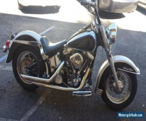 Motorcycle 1996 Harley-Davidson Softail for Sale