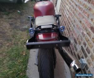 Motorcycle 2001 Kawasaki Ninja for Sale