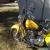 2001 Harley-Davidson Fatboy Trike for Sale