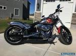 2014 Harley-Davidson Softail for Sale