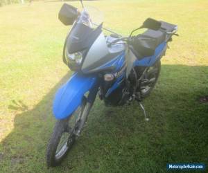 Motorcycle 2008 Kawasaki KLR 650 for Sale