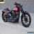 2016 Harley-Davidson Softail for Sale