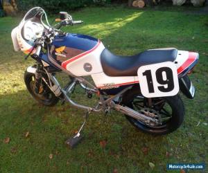 Motorcycle Honda VF750  Freddie Spencer  with VF1000 engine  HRC works parts barn project for Sale