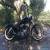 2009 Harley-Davidson Sportster for Sale