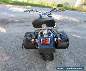 Motorcycle 2000 Harley-Davidson Softail for Sale