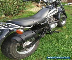 Motorcycle Suzuki 125 Suzuki RV125 Suzuki Van Van Trail Bike Commuter Work bike 2010    for Sale