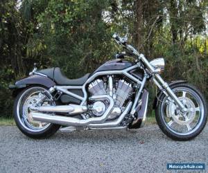 Motorcycle 2007 Harley-Davidson VRSC for Sale