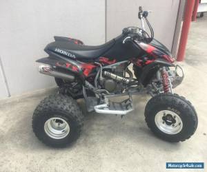 Motorcycle 2005 HONDA TRX 450R - QUADBIKES - MOTORBIKES for Sale