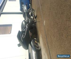 Motorcycle CBR 1100 XX Blackbird for Sale