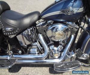 Motorcycle 2003 Harley-Davidson Softail for Sale