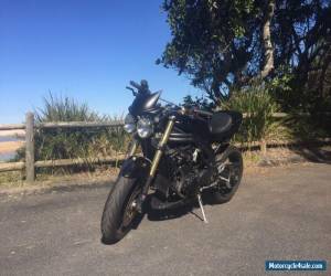 Motorcycle 1050 Triumph Speed Triple Cafe Racer for Sale