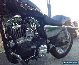 Motorcycle 2013 HARLEY DAVIDSON XL1200C CUSTOM  for Sale