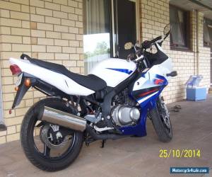 Motorcycle SUZUKI GS500F for Sale