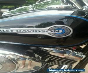 Motorcycle 2006 Harley-Davidson Softail for Sale