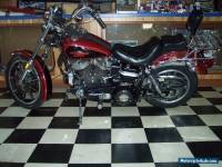 1981 Harley-Davidson Other