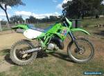 kawasaki kdx 250 1992 for Sale