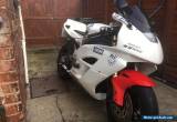 2004 HONDA CBR 1000 RR-4 WHITE TRACK BIKE V5 CB1000R CBR1000 for Sale