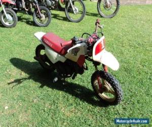 Motorcycle YAMAHA PEEWEE 50 MINI BIKE, for Sale