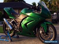 Kawasaki Ninja 250 Track Bike