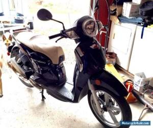 Motorcycle 2008 Aprilia Scarabeo for Sale