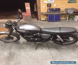 Motorcycle 2013 Triumph Bonneville for Sale