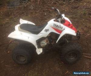 Motorcycle Yamaha Raptor 80 for Sale