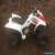 Yamaha Raptor 80 for Sale