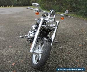 Motorcycle 2004 Harley-Davidson Softail for Sale