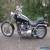 2004 Harley-Davidson Softail for Sale