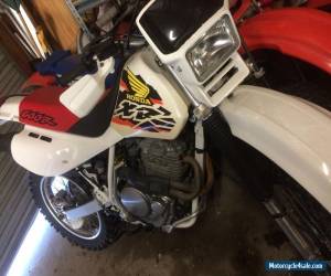 Motorcycle HONDA XR 600 99 IMMACULATE CONDITION VINDURO 650 400 250 350 XL TT XT CR KTM IT  for Sale