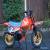 honda qr 50 cc childs motorcycle not yamaha or suzuki  for Sale