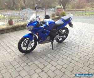 Motorcycle 2004 HONDA CBR 125 R-4 LOW MILEAGE LEARNER LEGAL for Sale