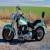 1992 Harley-Davidson Softail for Sale