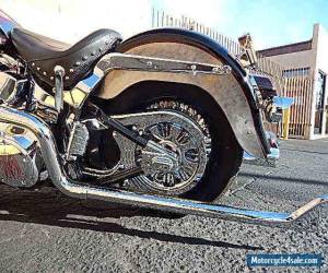 Motorcycle 2004 Harley-Davidson Softail for Sale