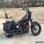 2009 Harley-Davidson Softail for Sale