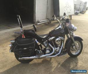 Motorcycle 2000 Harley-Davidson Softail for Sale