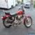 1980 Harley-Davidson Sportster for Sale