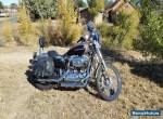 2005 Harley-Davidson 1200 custom for Sale