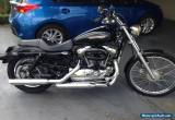 harley davidson sportster 1200 for Sale