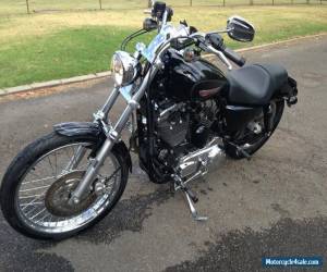 Motorcycle harley davidson sportster 1200 for Sale