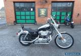 2003 Harley-Davidson Sportster for Sale