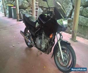 Motorcycle YAMAHA XJ900S Diversion 1995 for Sale