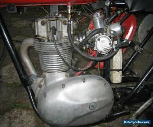 Motorcycle BSA C15 Vintage Classic Racer for Sale