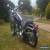 harley davidson softail deuce for Sale